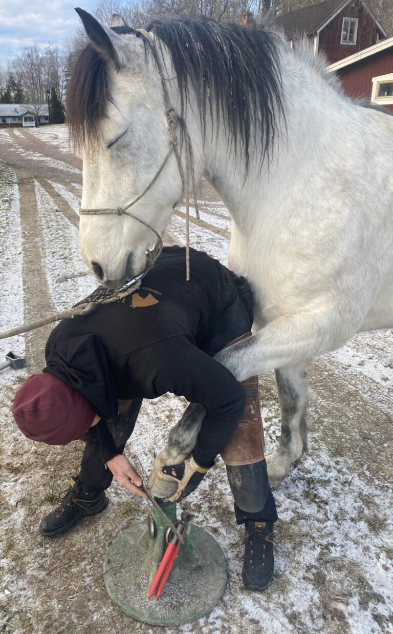 Wesley Welboren hovvård hovverkning hov häst