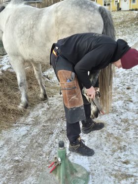 Wesley Welboren hovvård hovverkning hov häst långshyttan hedemora barefoot